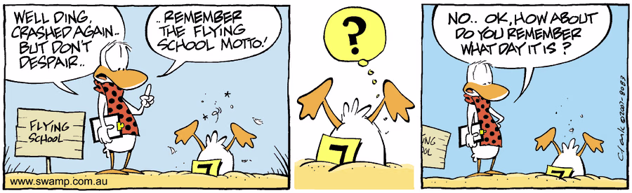 Flying Fun Flying Fun