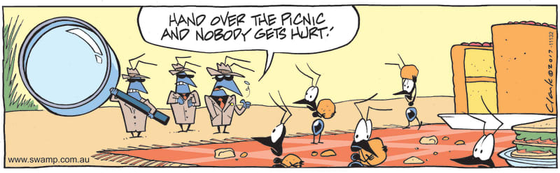 Bunch of Bull Ants