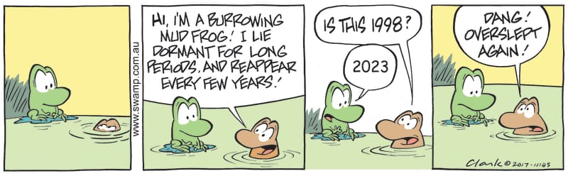 mud burrowing frog