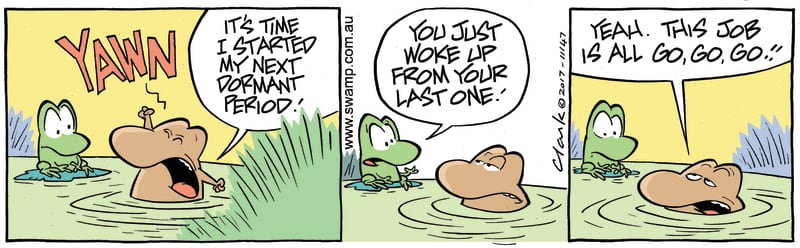 new sleep phase