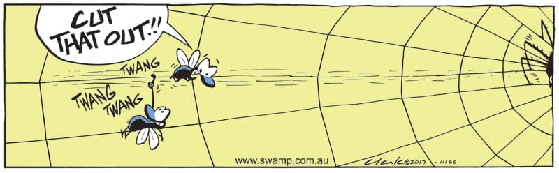 stretching the web