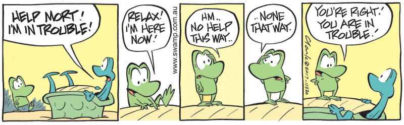 Turtle has flipped