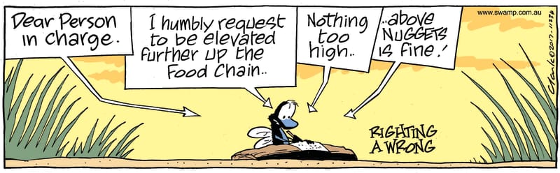 Fly is writing