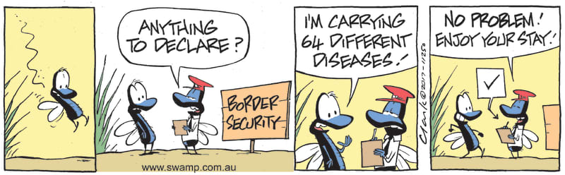 Border Security
