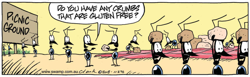 gluten free option
