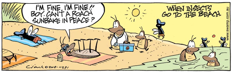 At the beach