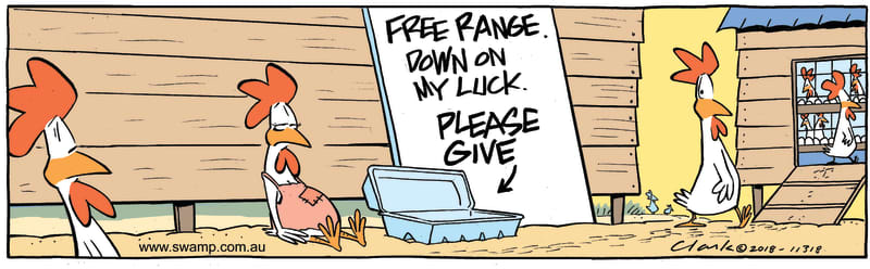 Free range Chicken