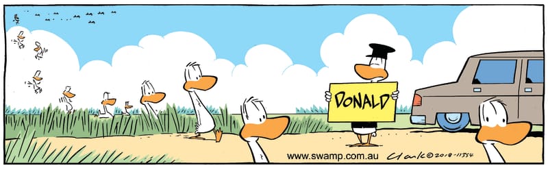 name card for Donald