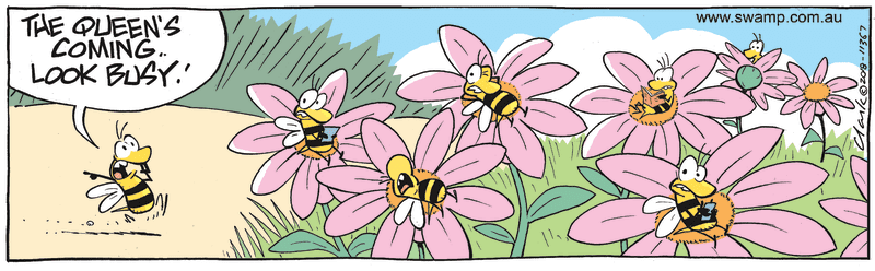 Queen Bee is Coming