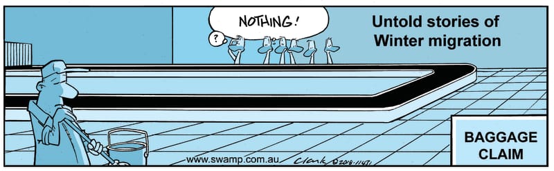 Baggage Claim