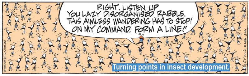 lazy disorganised rabble