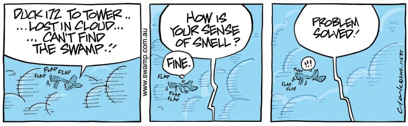 sense of smell