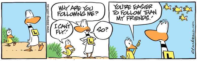 Ding Duck Followed