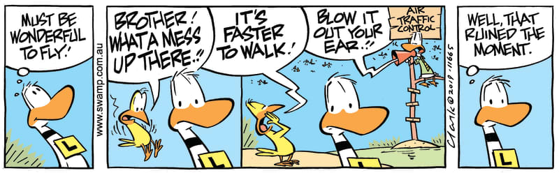 Ding Duck Moment