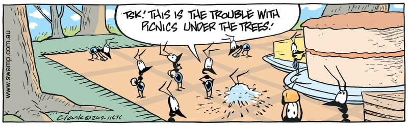 Ants Picnic Hazard