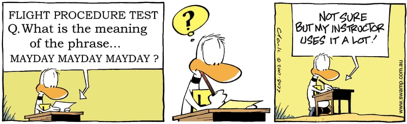 Ding Flight Procedure Test Comic