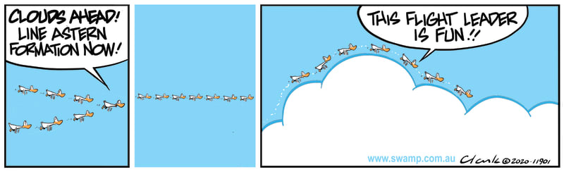 Flight Leader is Fun