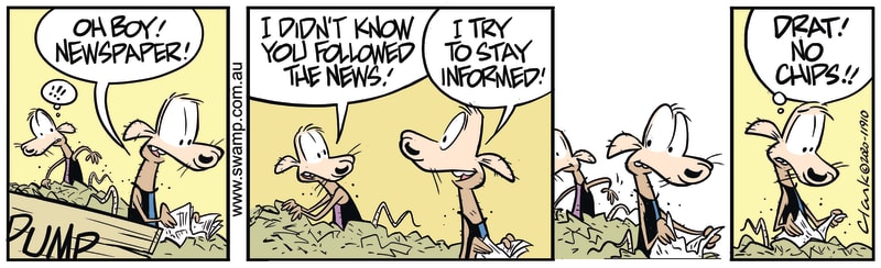 Chives Rat Finds Newspaper