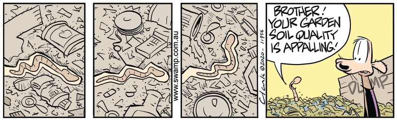 Worm Garden Soil Quality