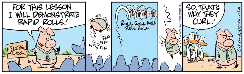 Demonstrate Rapid Rolls