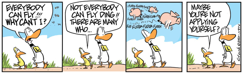 Ding Duck Apply Yourself