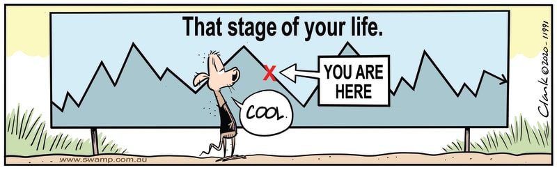 Chives Rat Stage of Life