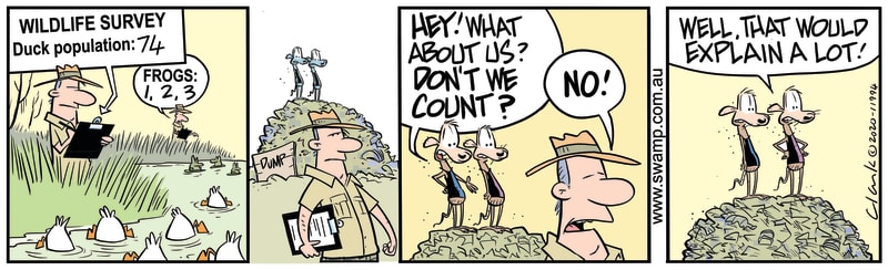 Park Ranger Wildlife Survey