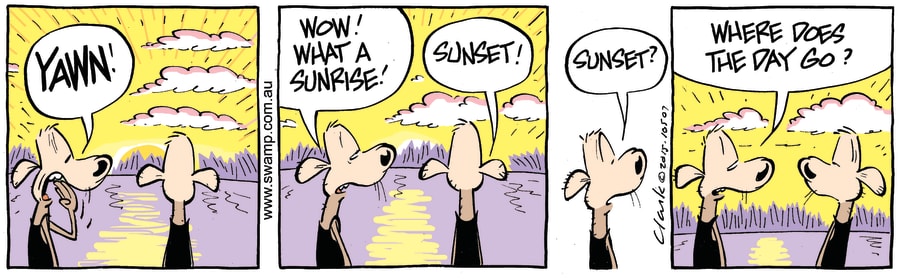 admiring the sunrise