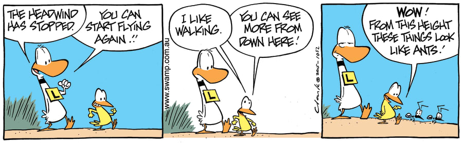 Ding Duck Walking
