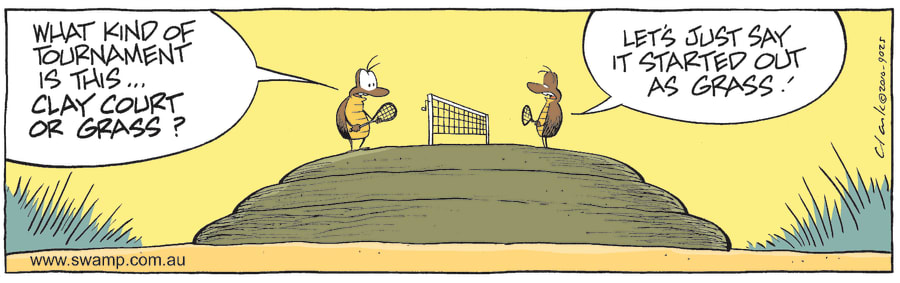 Dung Beetles Tennis Comic