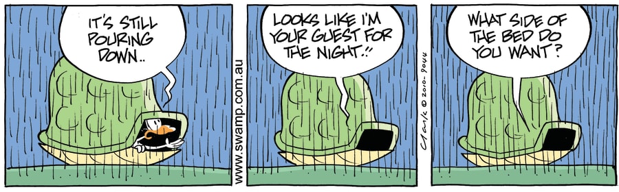 Turtle Pouring Rain Comic
