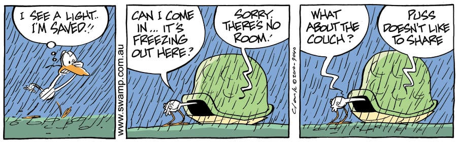 escape the bad weather