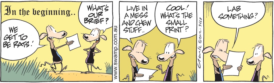 Check the Fine Print