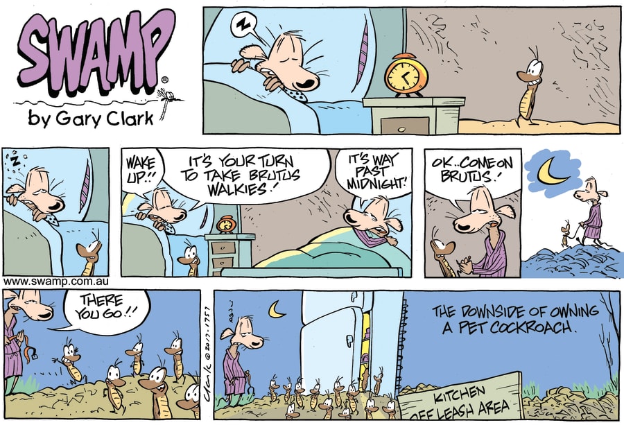 Brutus Cockroach Midnight