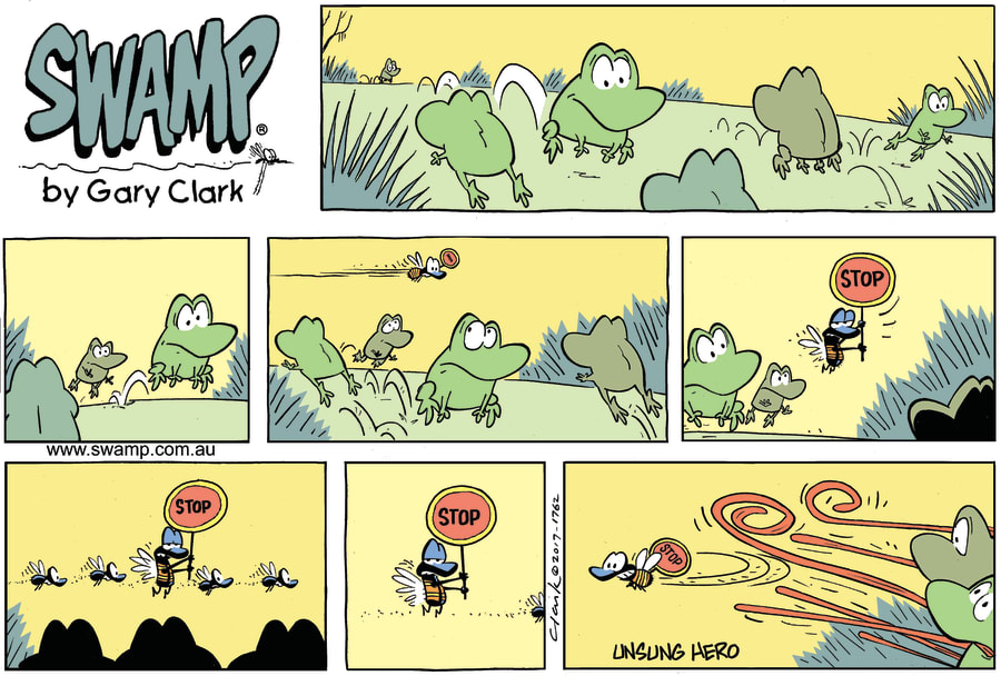 Swamp Fly Stop Frogs