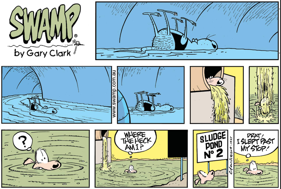 Swamp Rat Missed Stop