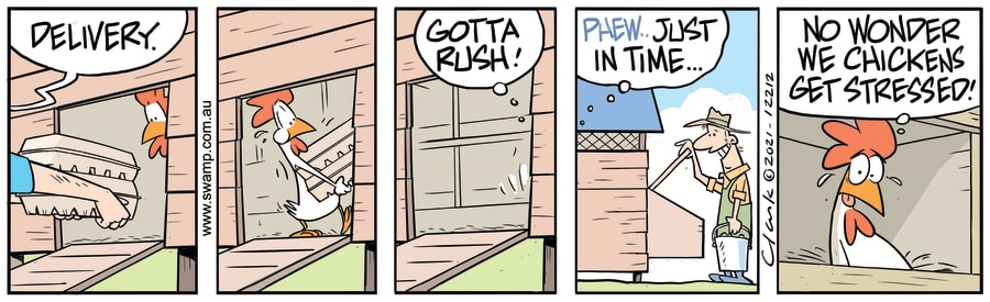 Chicken Gets Delivery Just In Time