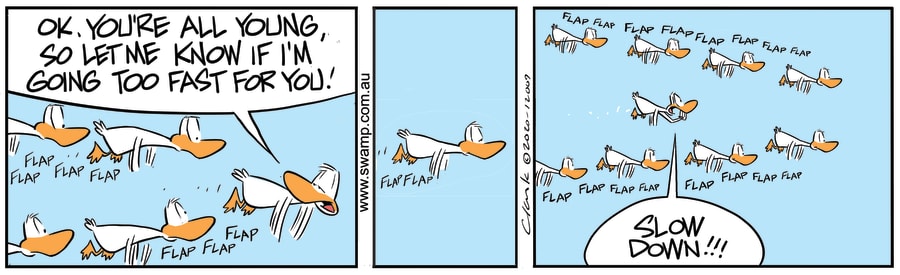 Aviator Ducks Slow Down