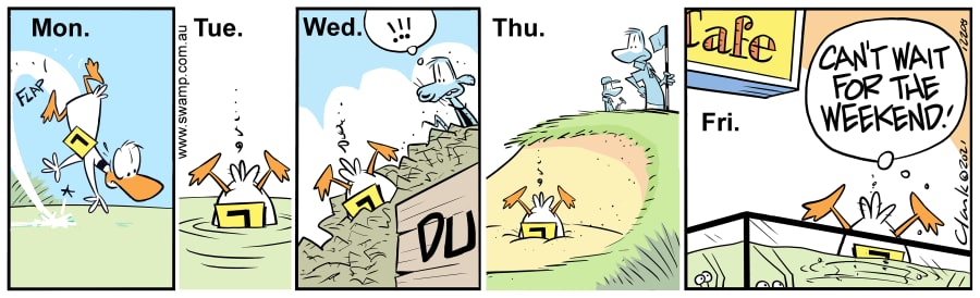 A Week in Ding Duck's Life