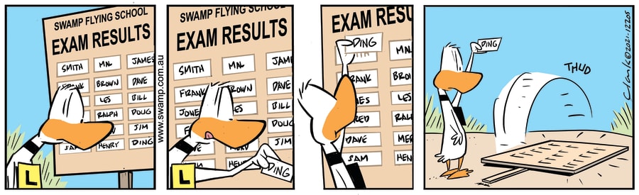 Ding Duck Checks Exam Results