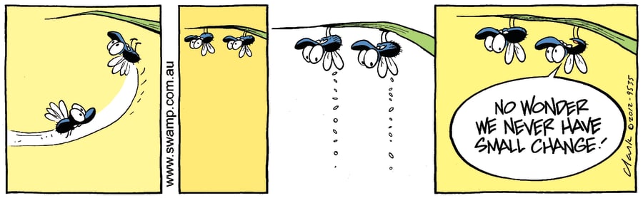 Flies Gravity Fun