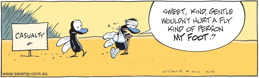 Fly vs Sweet Gentle Person Fly vs Sweet Gentle Person