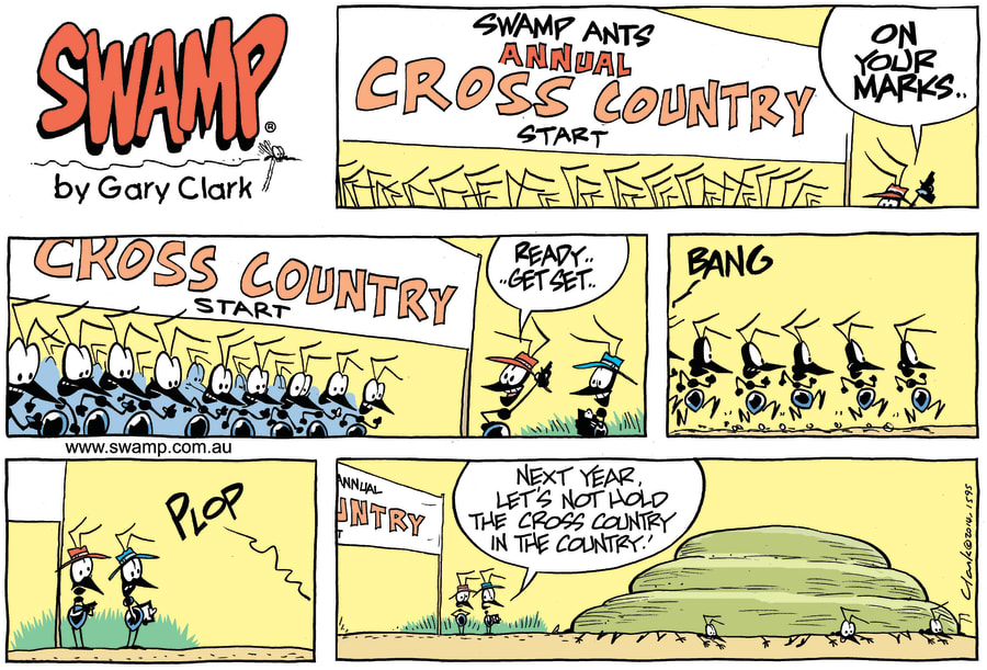 Swamp Ants Cross Country Race