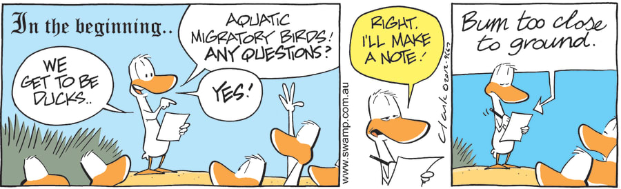 aquatic migratory birds