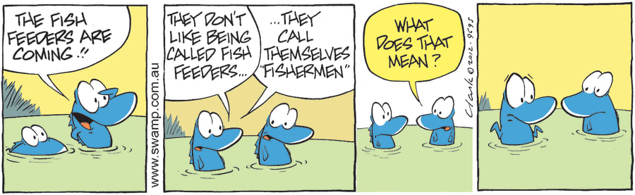 Fish Feeders are Coming