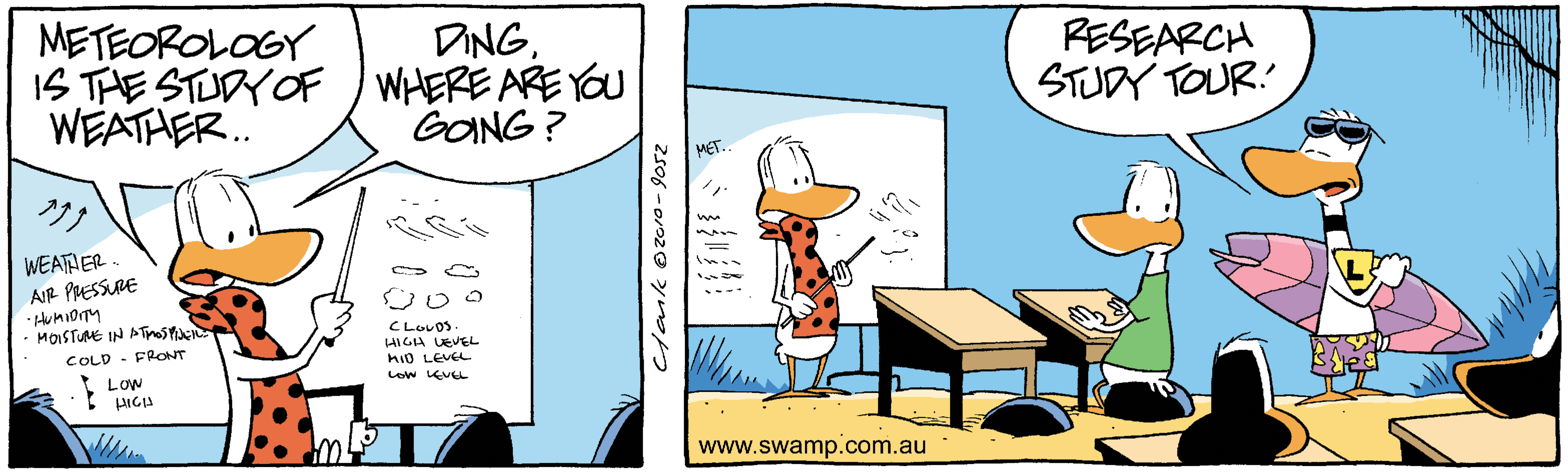 Ding Duck weather research