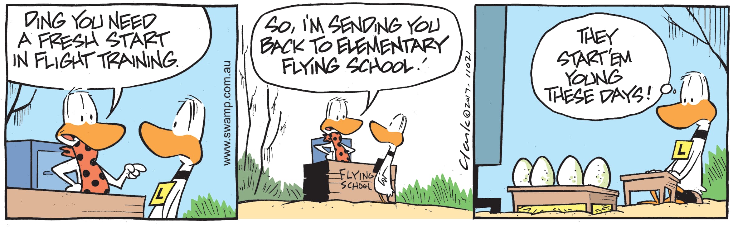 flight training