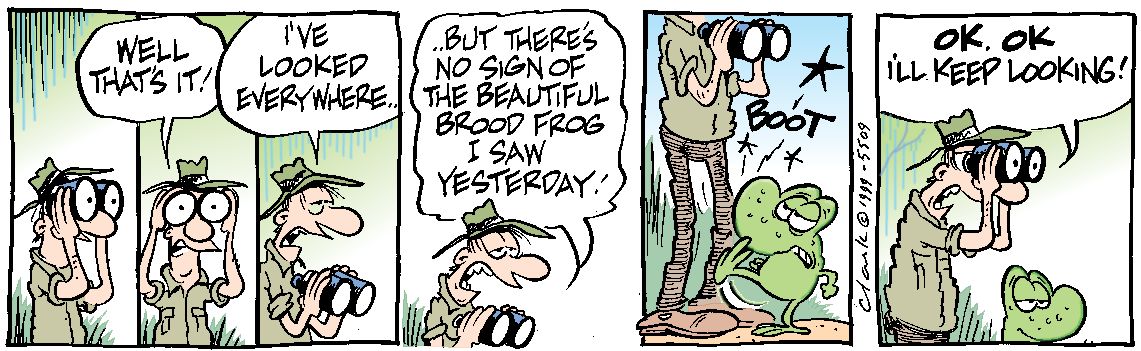 Beautiful Female Brood Frog