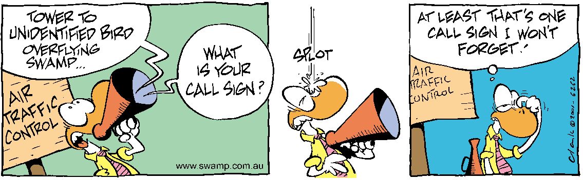 Air Traffic Control Requesting Call Sign Comic