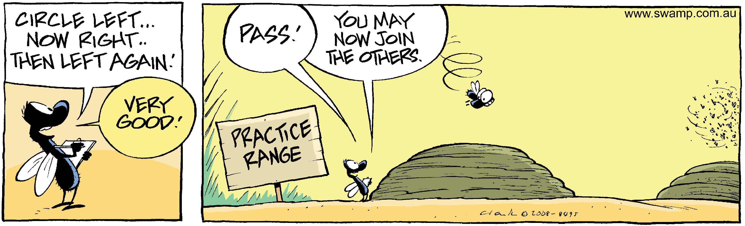 Flying Test - Swamp Cartoons